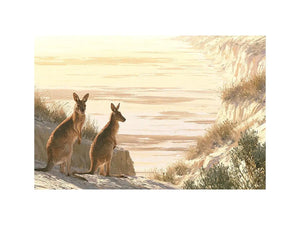 coastal kangaroo wildlife canvas beach house
