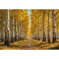   golden forest canvas print hallway decor