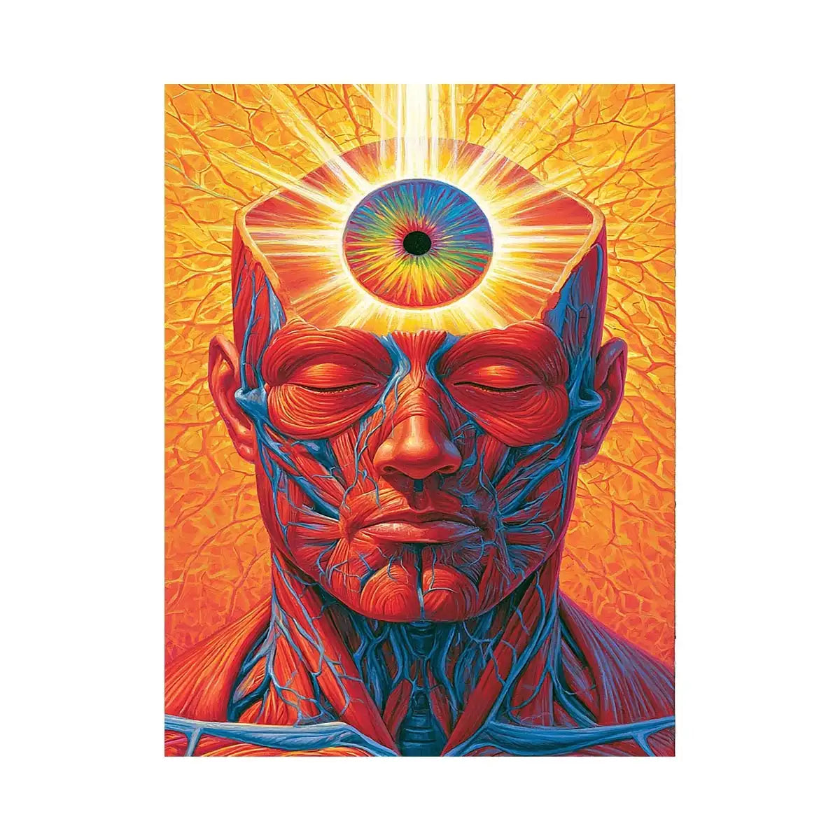 surreal third eye anatomy canvas office decor