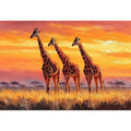giraffe sunset savanna canvas