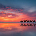 Cable Beach Sunset Camel  Panoramic Canvas Print