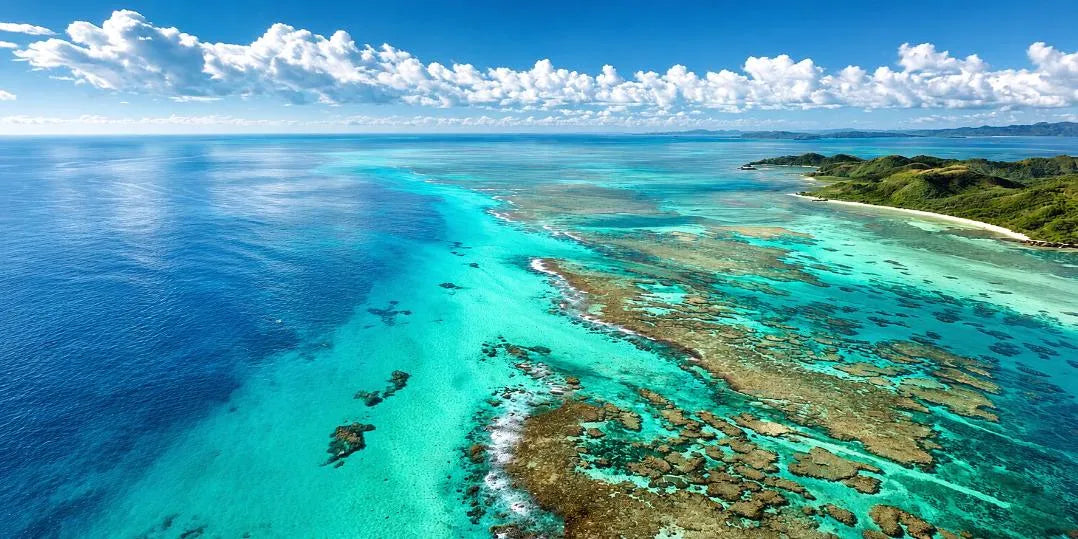 Reef Expanse Panoramic Canvas Print