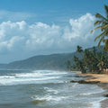 Palm Coast Calm Panoramic Canvas Print