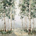 Whispering Birch Grove Panoramic Canvas Print