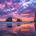 Violet Tide Reflection Panoramic Canvas Print