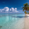 Crystal Palm Shore Panoramic Canvas Print