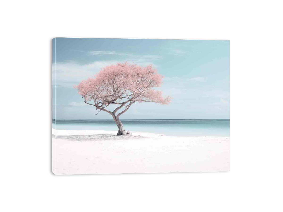 Streched canvas