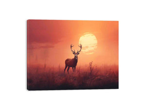 Streched canvas