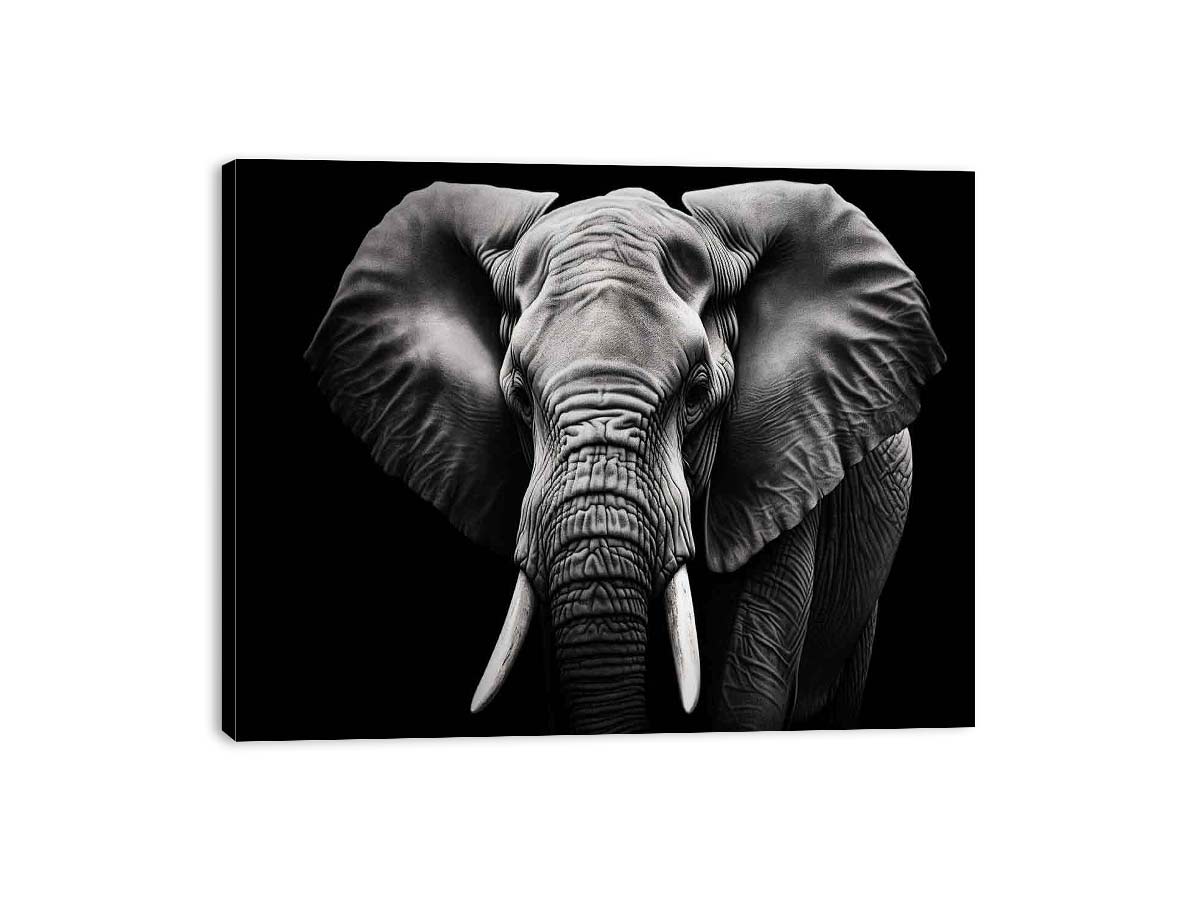 black-white-elephant-portrait-canvas-sunm223.png