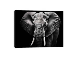 black-white-elephant-portrait-canvas-sunm223.png