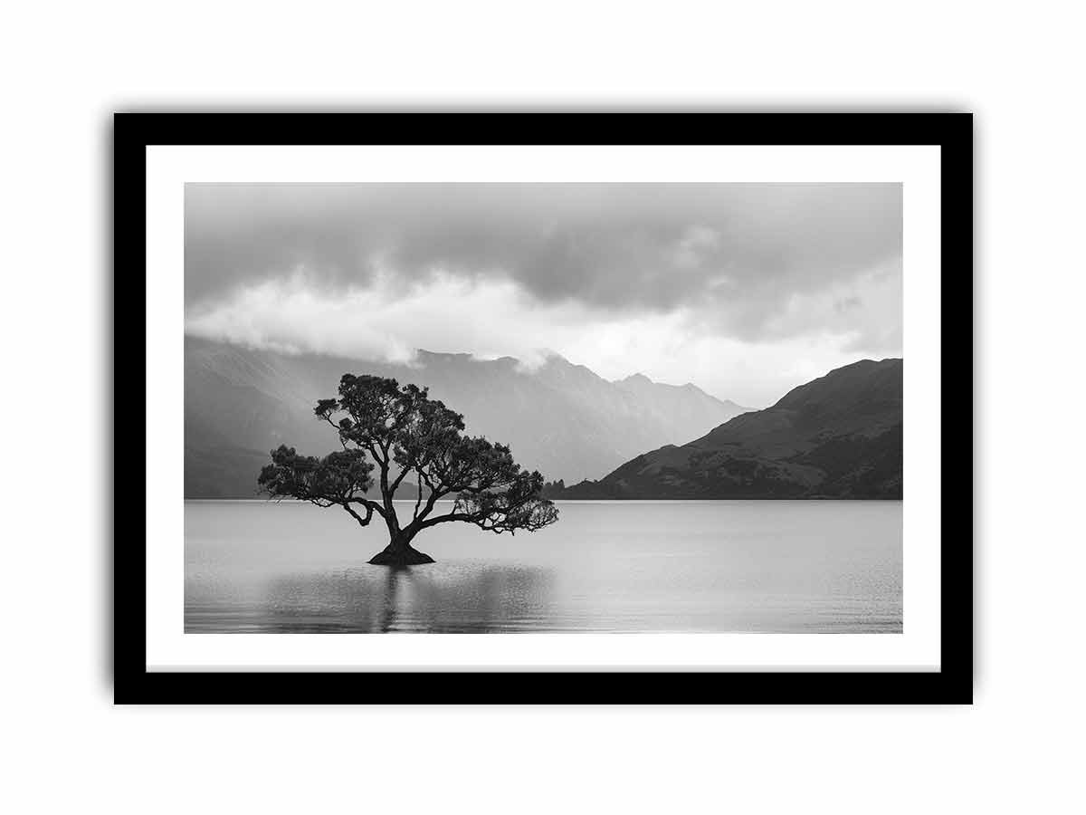 Framed Print