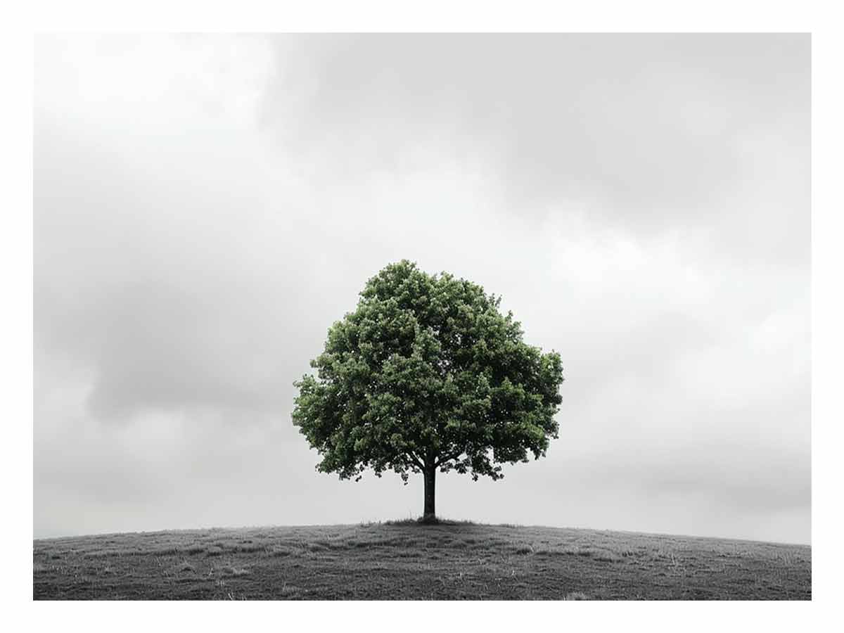 Isolated Green Tree