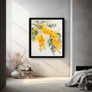Acacia