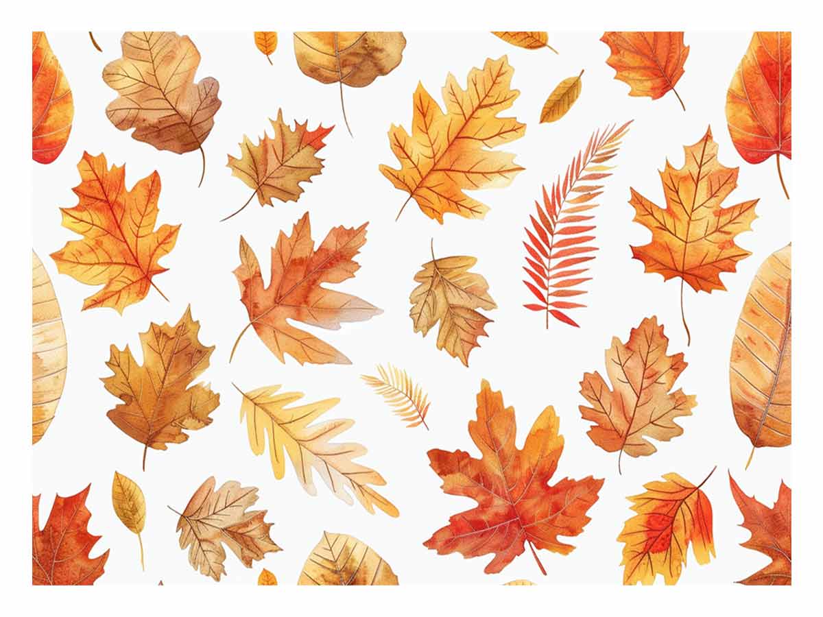 Autumn leaves