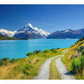 Aoraki Mount Cook Alpine Vista