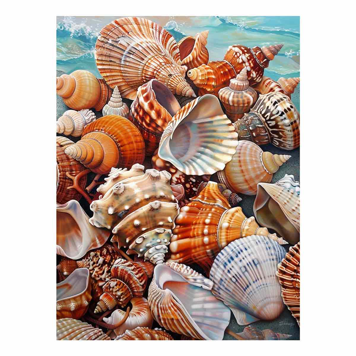 seashell-treasure-tide-canvas-wall-art-sunm455.jpg