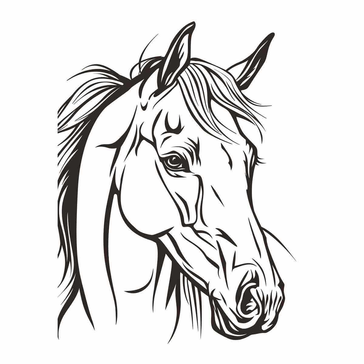 elegant-horse-line-art-canvas-sunm463-1.png