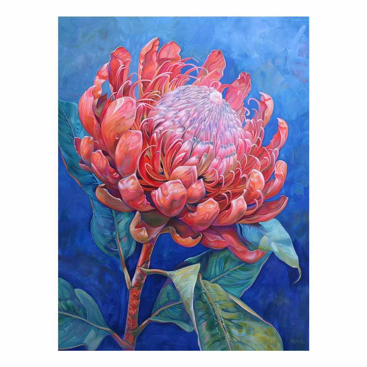 Crimson Waratah Botanical Bloom