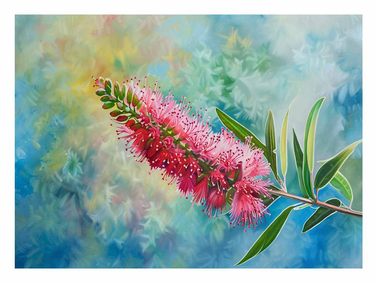 bottlebrush-breeze-sunm504.jpg