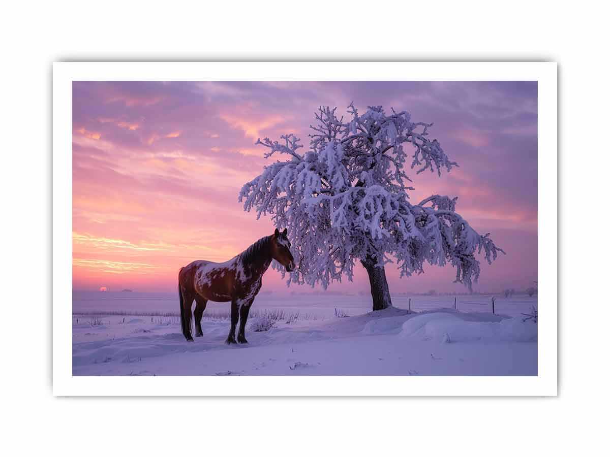 Winter horse landscape framed print for calm bedroom and hallway styling