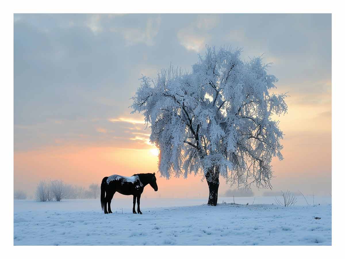 Winter Horse Stillness