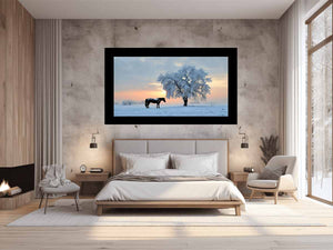 Winter Horse Stillness