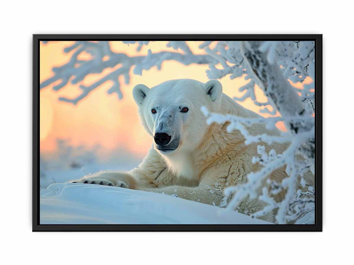 polar-bear-wildlife-snow-canvas-art-sunm511.jpg
