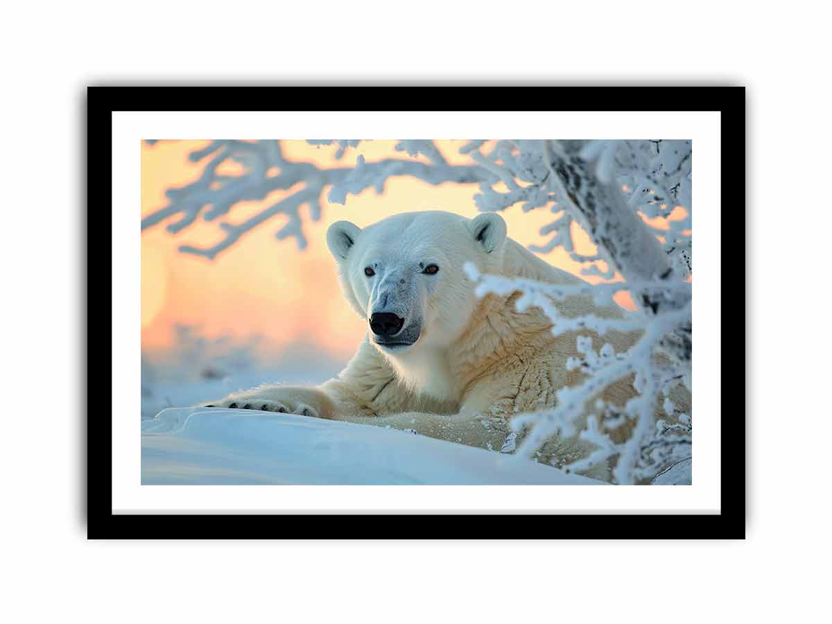 Framed Print