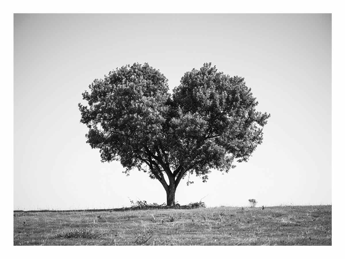 black-white-lone-heart-tree-canvas-art-sunm522.jpg