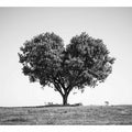 Tree Heart 