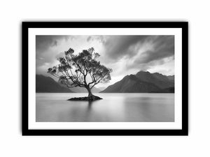 Framed Print