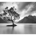 In the Lake Reflection – Serene Water Surface View