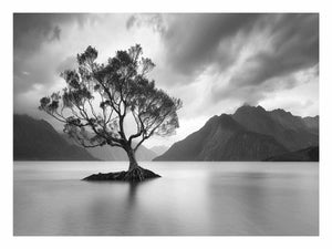In the Lake Reflection – Serene Water Surface View