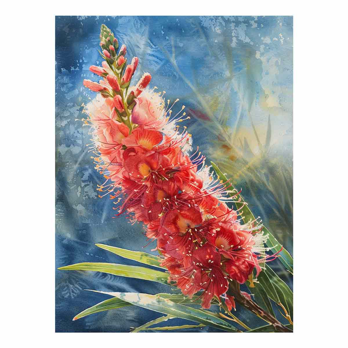 red-bottlebrush-watercolor-botanical-canvas-sunm581-1