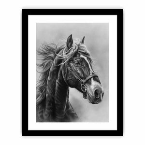 Framed Print
