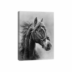 Streched canvas