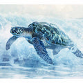 Sea Turtle Ocean Journey