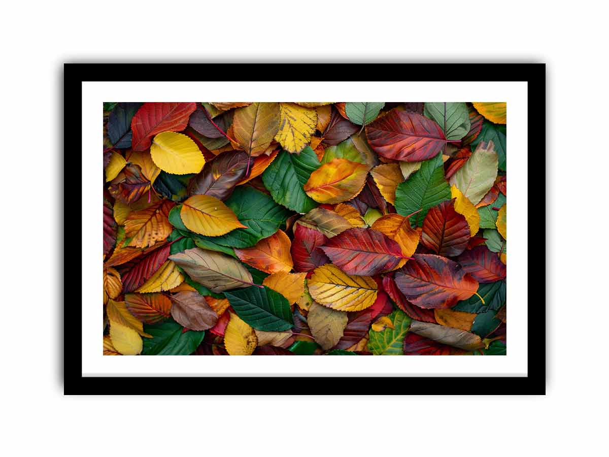 Framed Print