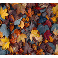 Golden Autumn Canopy