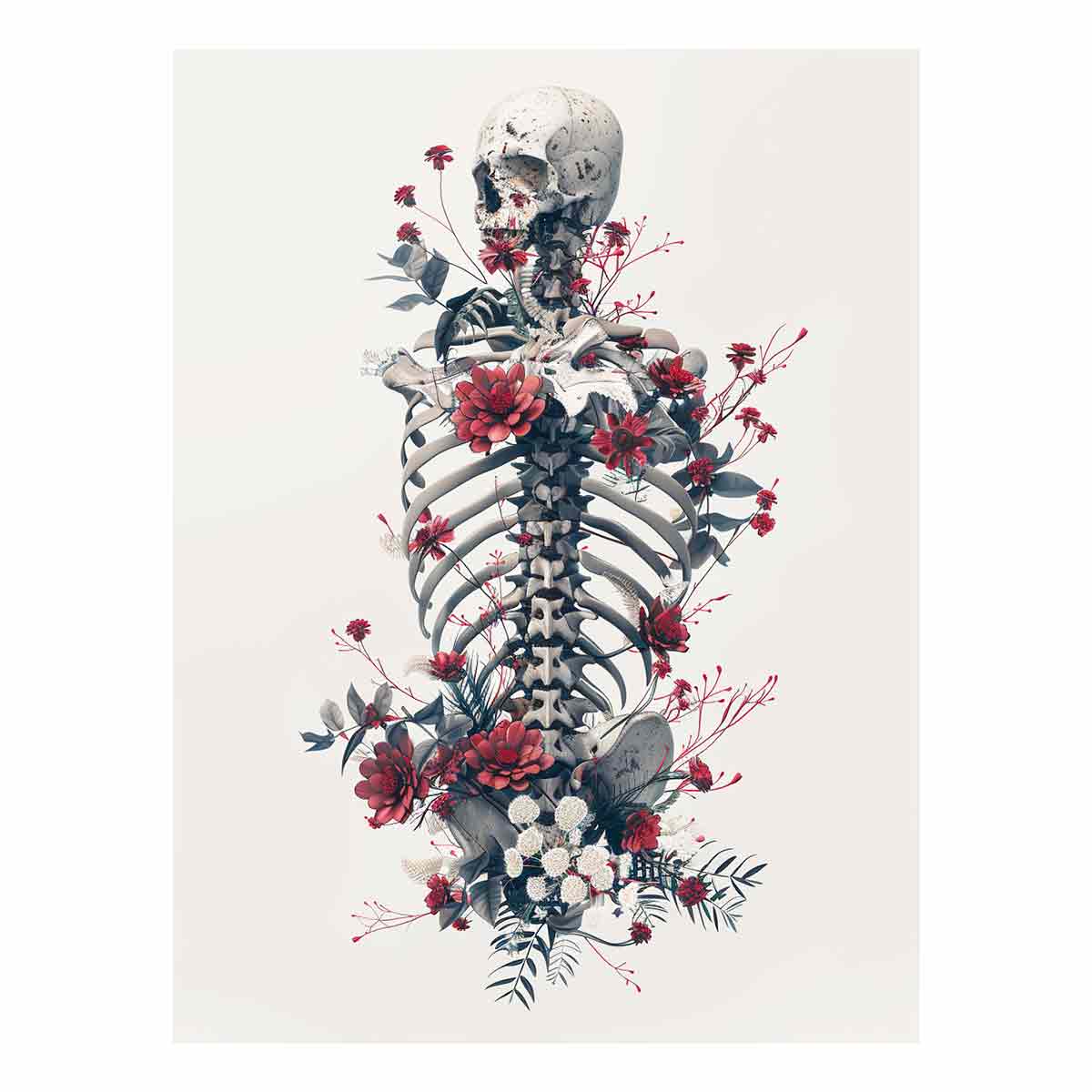 Skeleton Study – Graphic Anatomy Expression