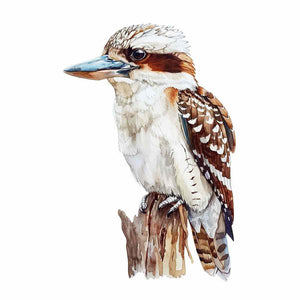 Australian Kookaburra Perch