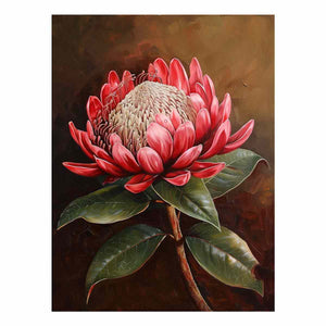 Australian Waratah Botanical Study