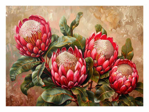 Scarlet Waratah Floral Study