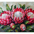 Crimson Waratah Bloom
