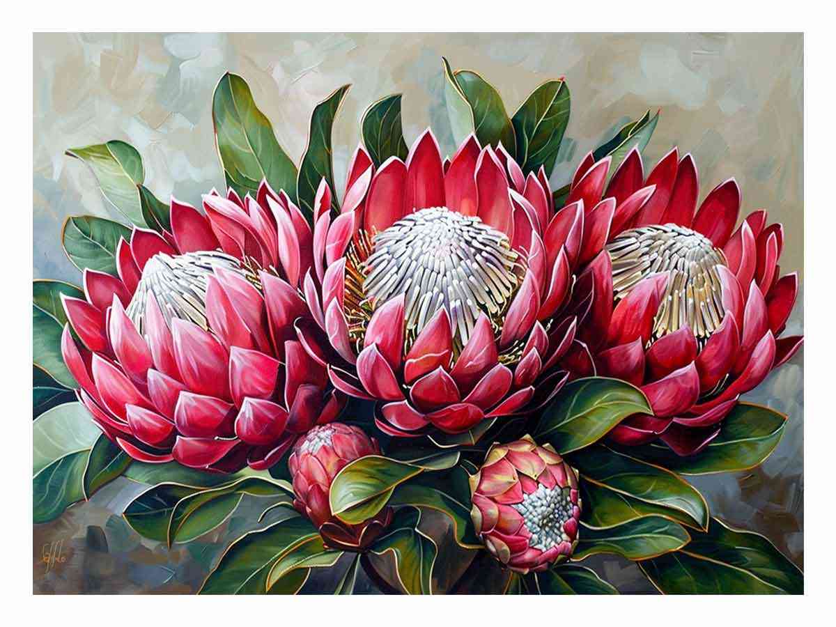 Crimson Waratah Bloom