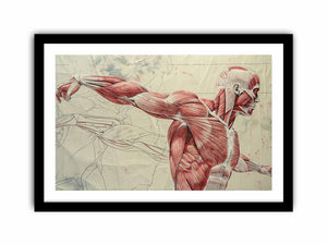 Framed Print
