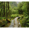 Milford Track Alpine Wilderness