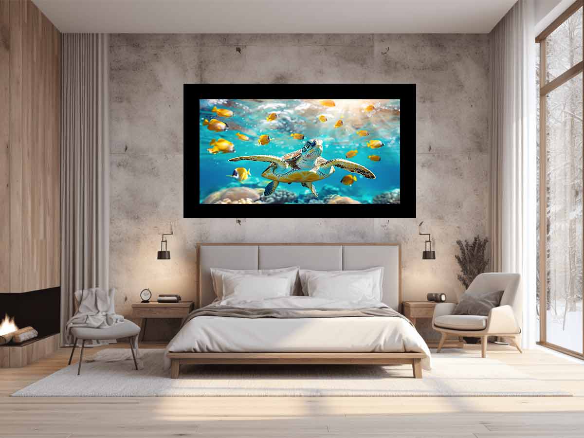 Underwater Turtle Ocean Drift