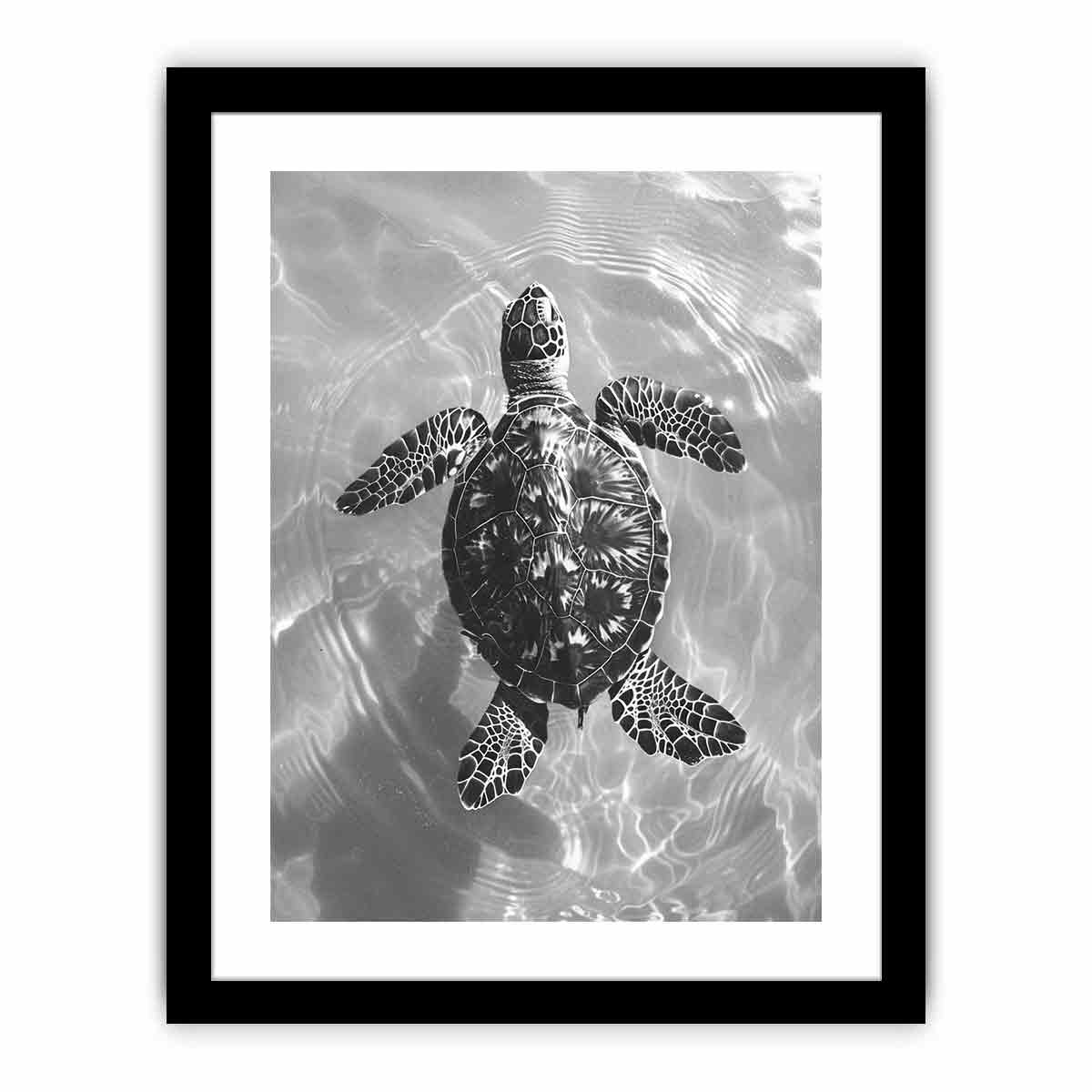 Framed Print