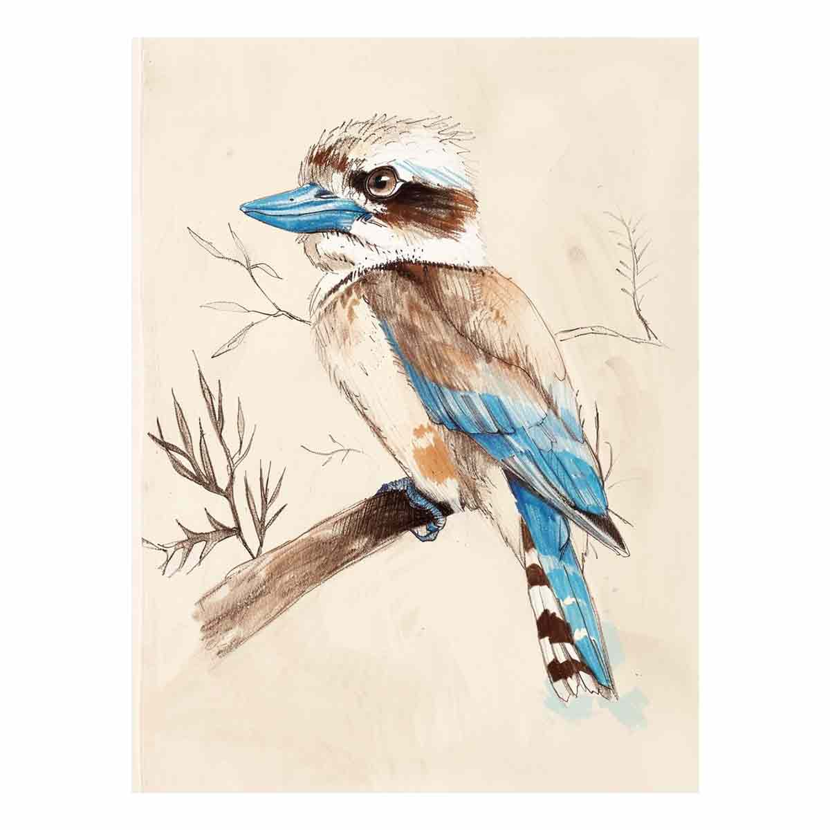 Cute Kookaburra Perch